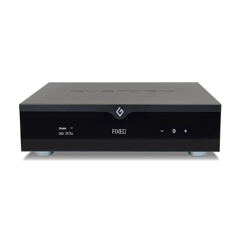 DAC GUSTARD R30 R2R
